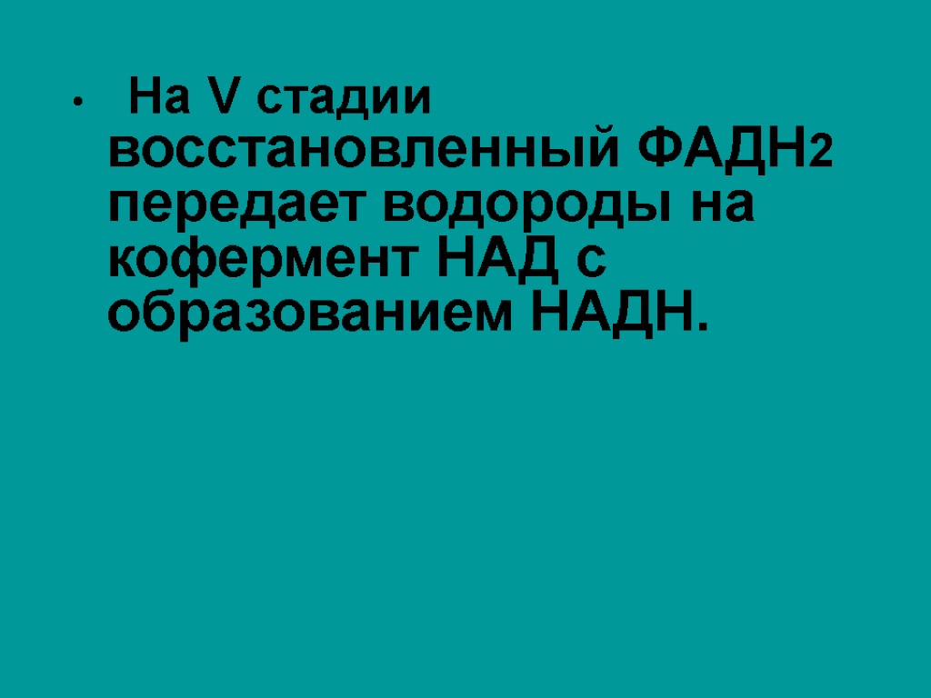 На V стадии восстановленный ФАДН2 передает водороды на кофермент НАД с образованием НАДН.